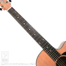 Maton RM-DNC【60回無金利対象品】_5