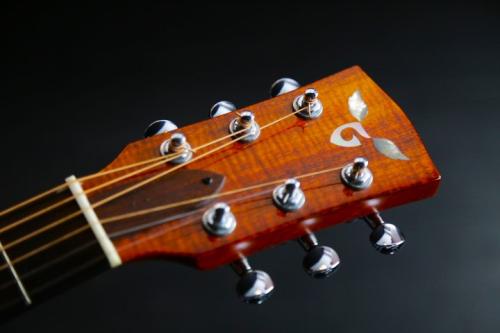 James Goodall AKP-14 Hawai made　コアボディ　