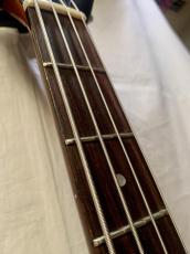 おそらくGreco Flying V Bass Modified_3