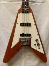 おそらくGreco Flying V Bass Modified_4