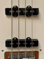 おそらくGreco Flying V Bass Modified_9