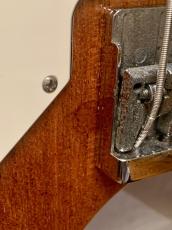 おそらくGreco Flying V Bass Modified_14