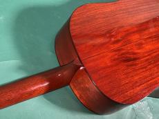 Martin CS-D18-12 DITSON_10