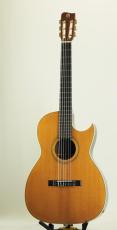 Gallagher GL-009GCE(管理番号4856)