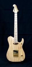 Washburn NELE STANDARD_2
