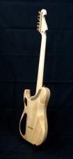 Washburn NELE STANDARD_4
