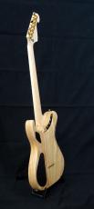 Washburn NELE STANDARD_6