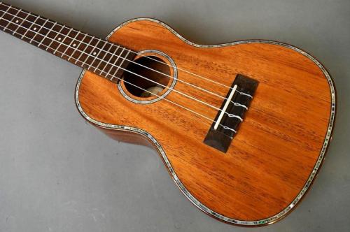 DCT DUC-300M Concert