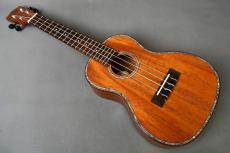 DCT DUC-300M Concert_2