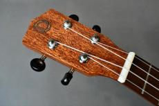 DCT DUC-300M Concert_5
