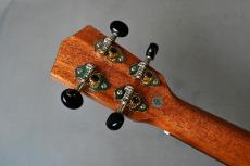 DCT DUC-300M Concert_6