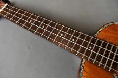 DCT DUC-300M Concert_7