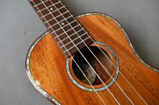 DCT DUC-300M Concert_9