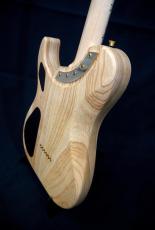 Washburn NELE STANDARD_8