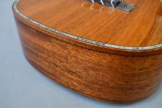 DCT DUC-300M Concert_11
