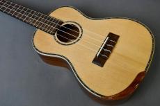 DCT DUC-450 Concert