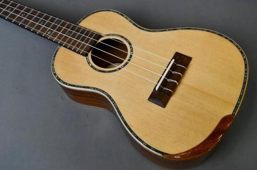 DCT DUC-450 Concert