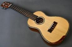 DCT DUC-450 Concert_2