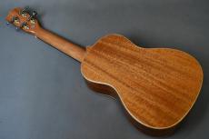 DCT DUC-450 Concert_3