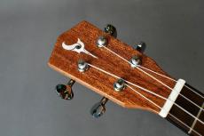 DCT DUC-450 Concert_5