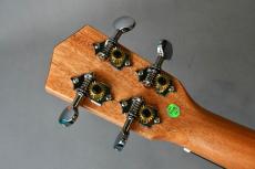 DCT DUC-450 Concert_6