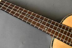 DCT DUC-450 Concert_7