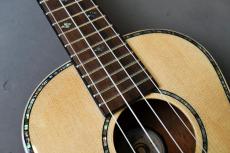 DCT DUC-450 Concert_9