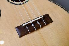 DCT DUC-450 Concert_10