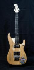 Washburn 4N-USA_2