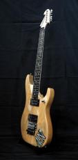 Washburn 4N-USA_3