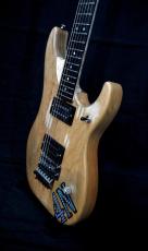 Washburn 4N-USA_7