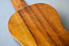 Famous FLS-2G Soprano LongNeck_13