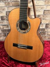 Orpheus Valley Guitars オルフェウス・バレー・ギターズ Model:F65CW-7S_3
