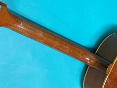 Gibson J-50_8