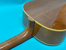 Gibson J-50_9