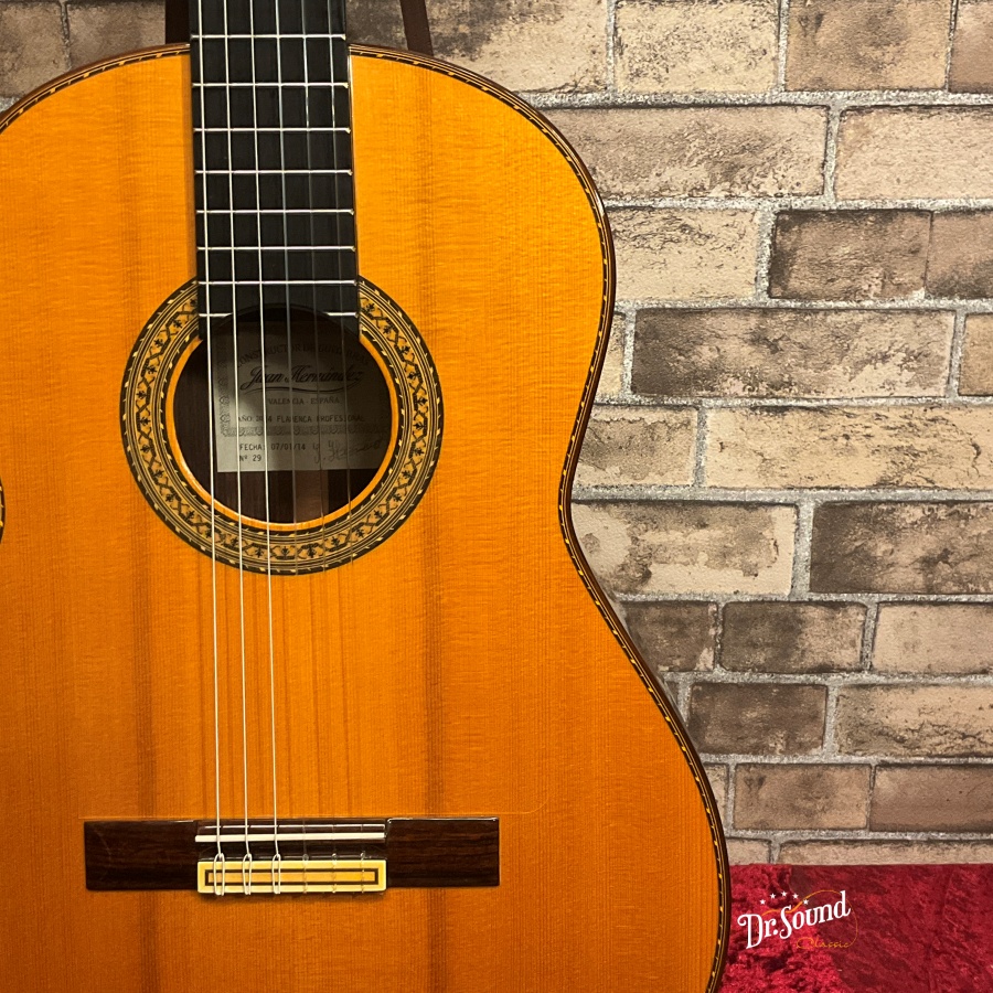 ホアン・エルナンデス Juan Hernandez Concierto 美品 7507e065-73e4-42fb-b956-
