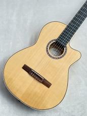 Godin Godin Arena Flame Maple CW EQ【エレガット】【48回無金利】【G-CULB 渋谷】