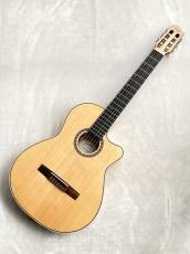 Godin Godin Arena Flame Maple CW EQ【エレガット】【48回無金利】【G-CULB 渋谷】_3