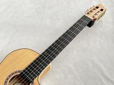 Godin Godin Arena Flame Maple CW EQ【エレガット】【48回無金利】【G-CULB 渋谷】_4