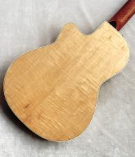 Godin Godin Arena Flame Maple CW EQ【エレガット】【48回無金利】【G-CULB 渋谷】_5