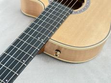 Godin Godin Arena Flame Maple CW EQ【エレガット】【48回無金利】【G-CULB 渋谷】_13