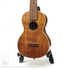 Martin Style-2K Concert