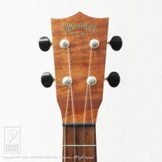 Martin Style-2K Concert_5