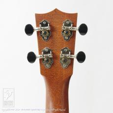 Martin Style-2K Concert_6