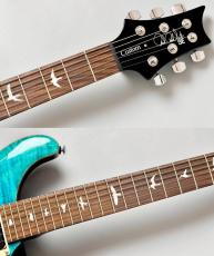 Paul Reed Smith [PRS] 【美品USED】SE Custom 24 2024年製 【3.52KG】_9