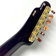 FREEDOM CUSTOM GUITAR RESEARCH C.S. TE Pepper Hollow II -Rose Transparent- #26011180 【Brown Pepper】【箱鳴り抜群】_10
