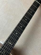 Taylor 【Taylor Guitars Tone Show 2026】Gold Label 512e SB【送料当社負担・最大48回無金利】_4