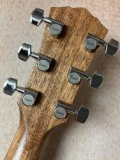 Taylor 【Taylor Guitars Tone Show 2026】Gold Label 512e SB【送料当社負担・最大48回無金利】_6