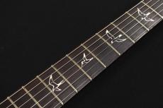Paul Reed Smith [PRS] SWAMP ASH SPECIAL Rosewood Black Doghair Smokeburst 2025_6