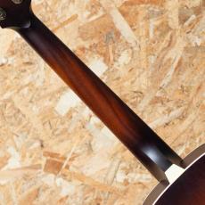 IRIS GUITAR COMPANY The DF Model Adirondack Spruce Tobacco Burst_7